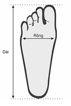 Hướng dẫn đo size giày bóng đá